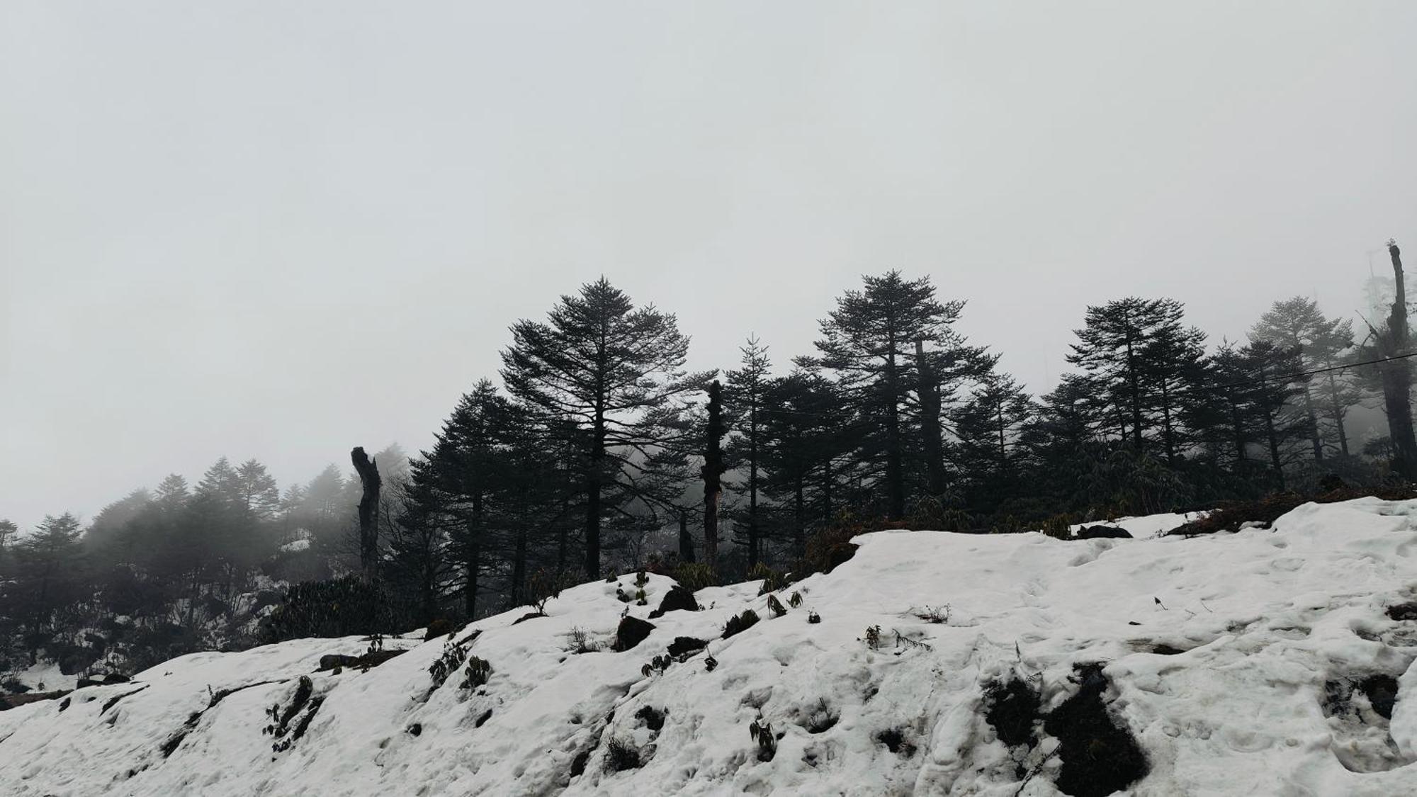 Mount Bayul Shangri-La Resort Lachung Extérieur photo